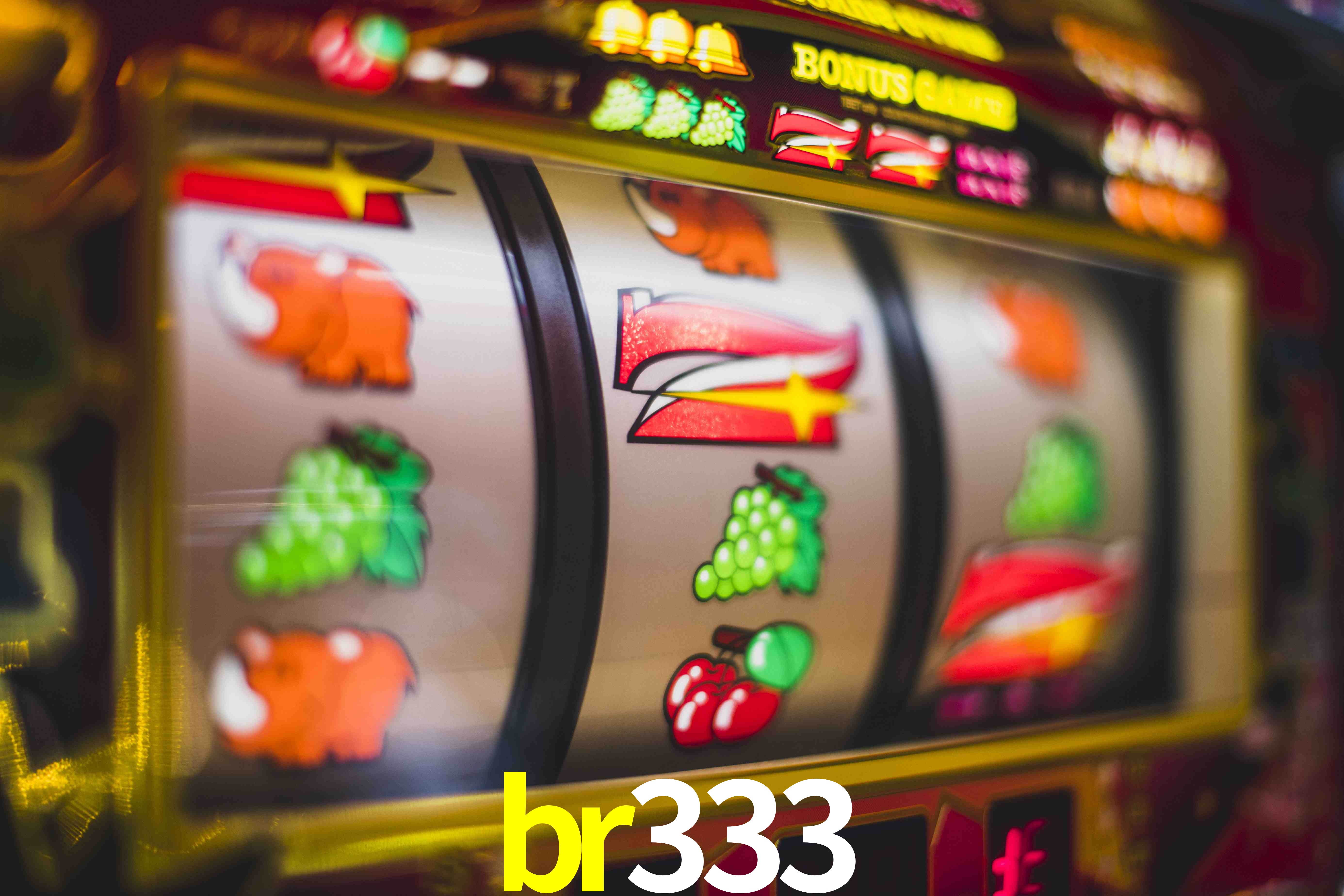 Live Casino br333