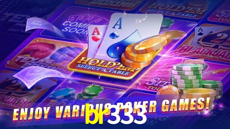 Login Seguro br333